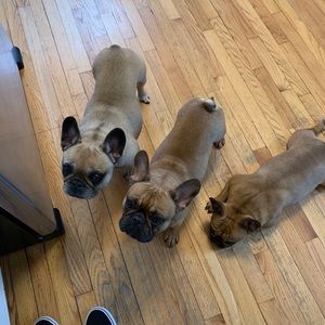 Meet your Posher, Jordan